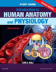 Book cover of: Study Guide for Introduction to Human Anatomy and Physiology - Revised Reprints. By: Lois A. Ball