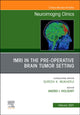 Book cover of: fMRI in the Pre-Operative Brain Tumor Setting, An Issue of Neuroimaging Clinics of North America. By: Andrei Holodny