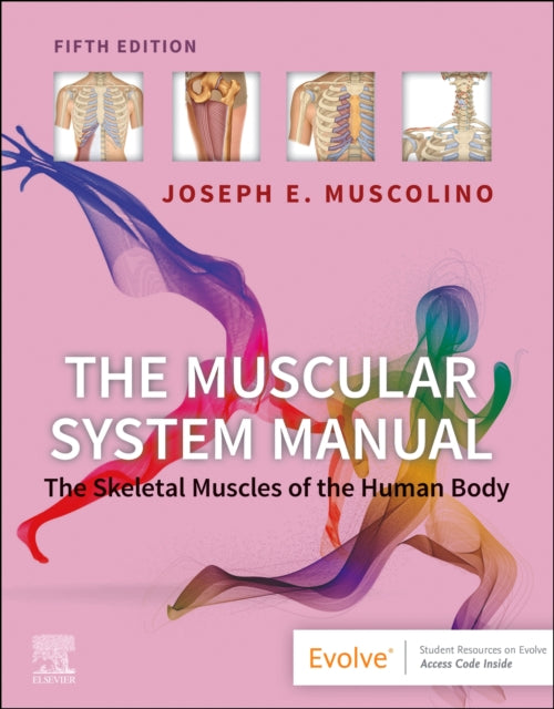 Book cover of: Muscular System Manual. By: Joseph E. Muscolino