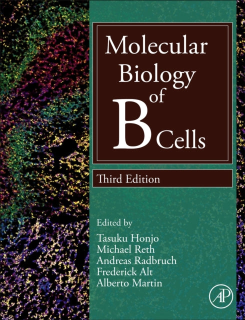 Book cover of: Molecular Biology of B Cells. By: Tasuku Honjo