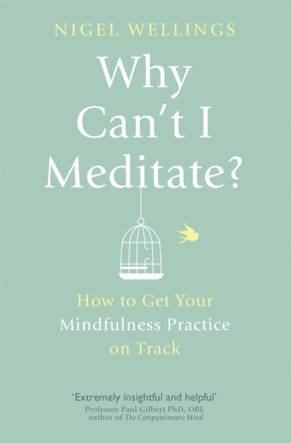 Book cover of: Why Can't I Meditate?. By: Nigel Wellings