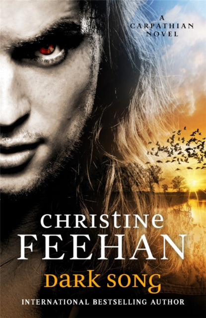 Book cover of: Dark Song