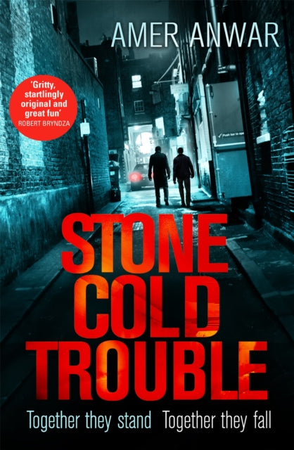 Book cover of: Stone Cold Trouble. By: Amer Anwar