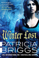 Book cover of: Winter Lost