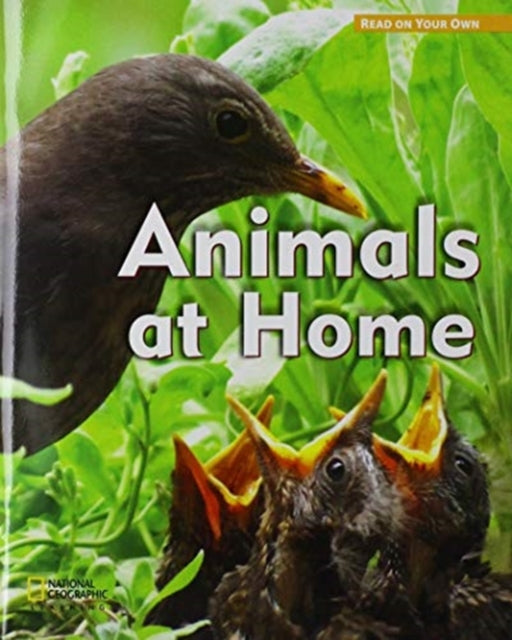 Book cover of: ROYO READERS LEVEL B ANIMALS A T HOME