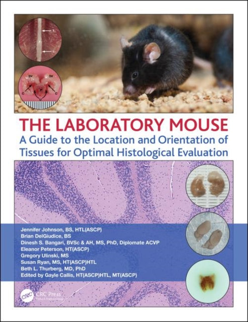 Book cover of: Laboratory Mouse. By: Jennifer Johnson