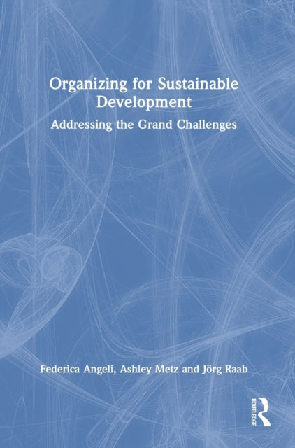 Book cover of: Organizing for Sustainable Development. By: Federica Angeli