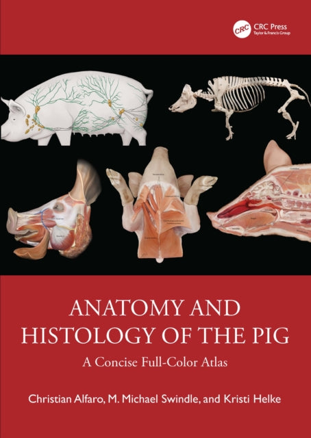Book cover of: Anatomy and Histology of the Pig