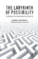 Book cover of: Labyrinth of Possibility