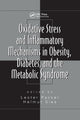 Book cover of: Oxidative Stress and Inflammatory Mechanisms in Obesity, Diabetes, and the Metabolic Syndrome. By: Helmut Sies