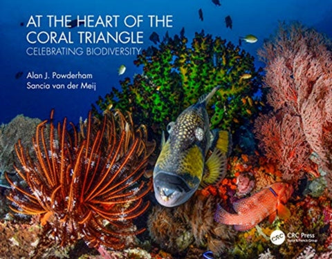 At the Heart of the Coral Triangle