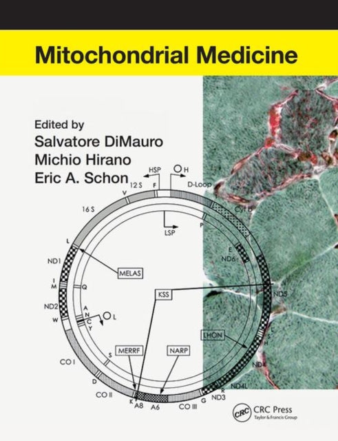 Book cover of: Mitochondrial Medicine. By: Salvatore DiMauro