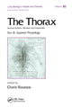 Book cover of: Thorax, ---Part B. By: Charis Roussos