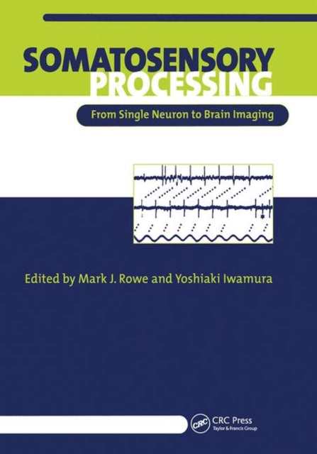 Book cover of: Somatosensory Processing