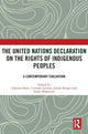 Book cover of: United Nations Declaration on the Rights of Indigenous Peoples. By: Damien Short