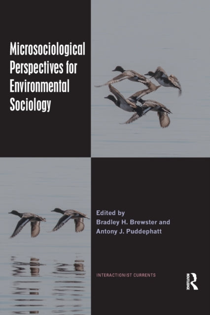 Book cover of: Microsociological Perspectives for Environmental Sociology