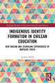 Book cover of: Indigenous Identity Formation in Chilean Education. By: Andrew Webb