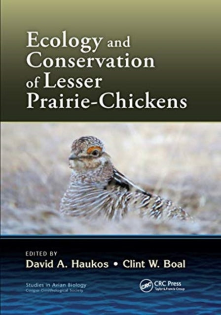 Book cover of: Ecology and Conservation of Lesser Prairie-Chickens. By: David A. Haukos