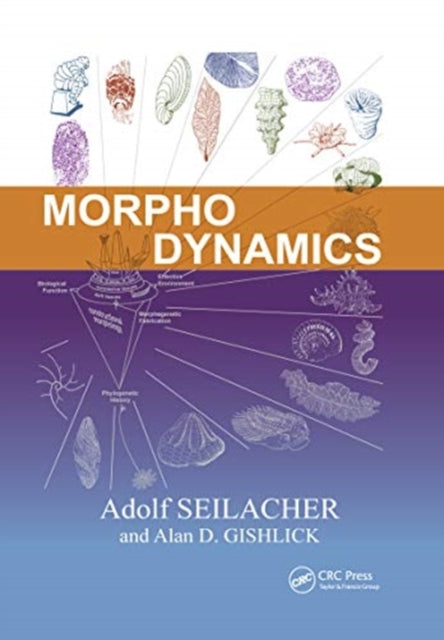 Book cover of: Morphodynamics. By: Adolf Seilacher