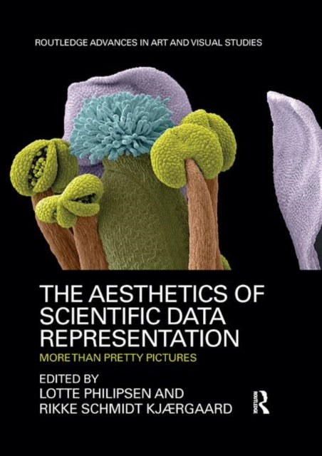 Book cover of: Aesthetics of Scientific Data Representation. By: Lotte Philipsen
