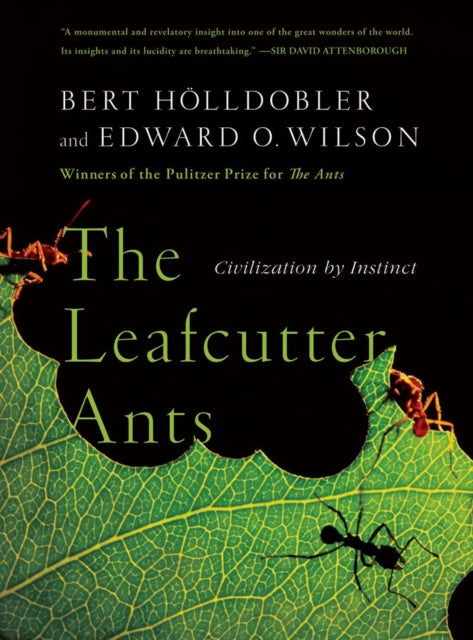 Book cover of: Leafcutter Ants. By: Bert Hölldobler