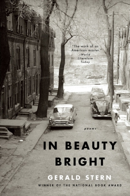 Book cover of: In Beauty Bright. By: Gerald Stern
