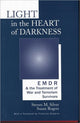 Book cover of: Light in the Heart of Darkness. By: Steven M. Silver