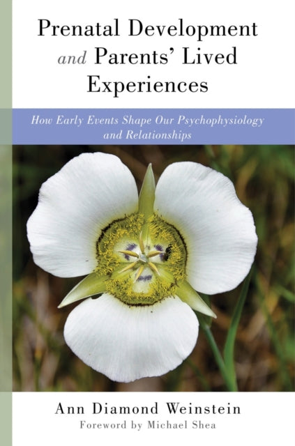 Book cover of: Prenatal Development and Parents' Lived Experiences. By: Ann Diamond Weinstein PhD