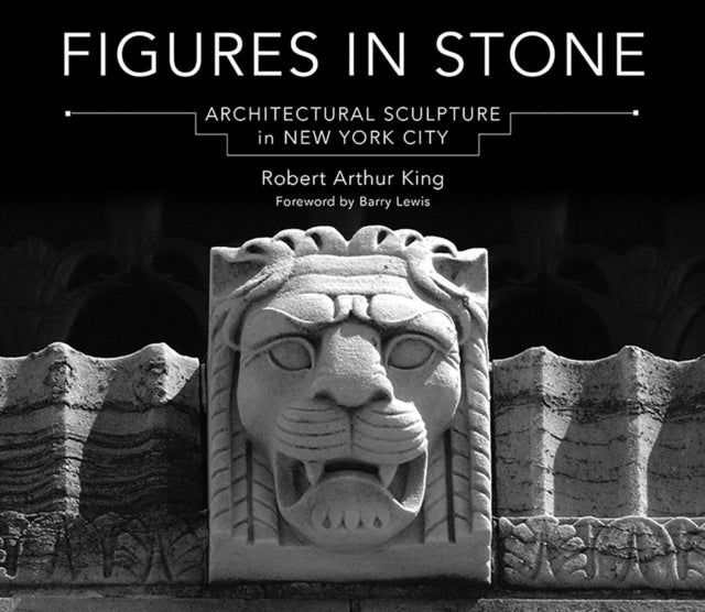Book cover of: Figures in Stone. By: Robert Arthur King
