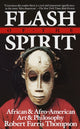 Book cover of: Flash of the Spirit