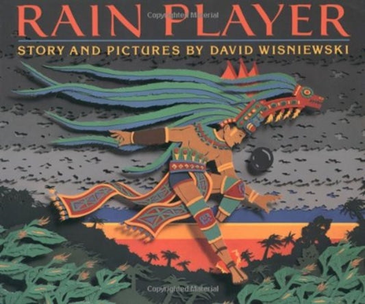 Book cover of: Rain Player. By: David Wisniewski