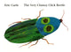 Book cover of: Very Clumsy Click Beetle