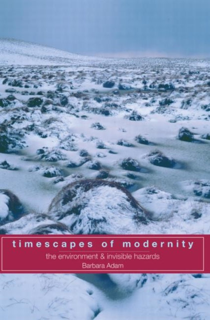 Book cover of: Timescapes of Modernity