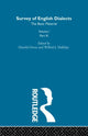 Book cover of: Survey Eng Dialects Vol1 Prt3