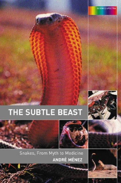 Book cover of: Subtle Beast