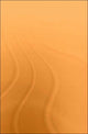 Book cover of: Japan's China Policy