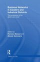 Book cover of: Business Networks in Clusters and Industrial Districts. By: Fiorenza Belussi