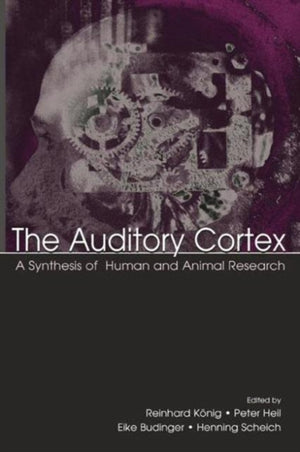 Auditory Cortex