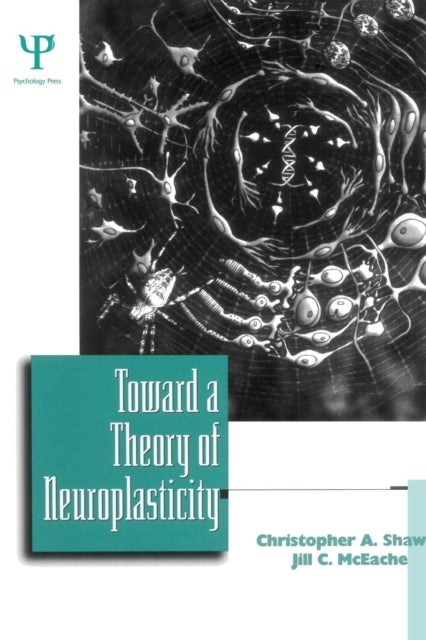 Toward a Theory of Neuroplasticity