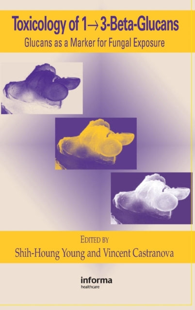 Book cover of: Toxicology of 1 - 3-Beta-Glucans