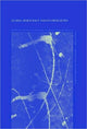 Book cover of: Global Democracy and its Difficulties. By: Karol Soltan