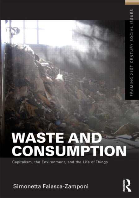 Book cover of: Waste and Consumption