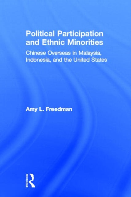 Book cover of: Political Participation and Ethnic Minorities. By: Amy L. Freedman