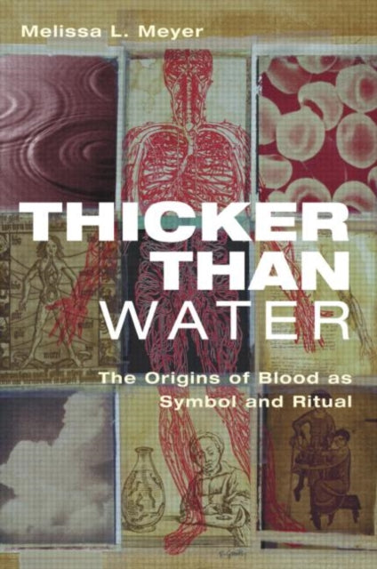 Book cover of: Thicker Than Water. By: Melissa L. Meyer