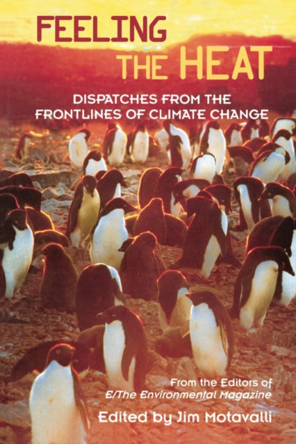 Book cover of: Feeling the Heat. By: From the Editor