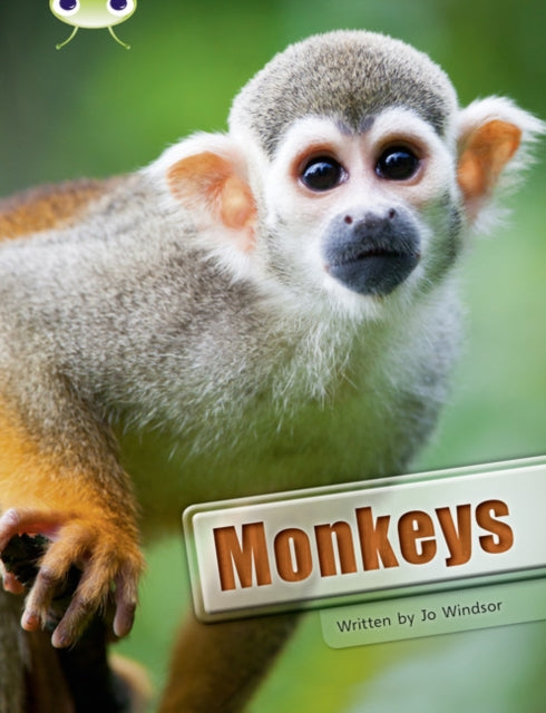 Book cover of: Bug Club Guided Non Fiction Year 3 White A Monkeys. By: Jo Windsor