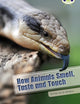 Book cover of: Bug Club Independent Non Fiction Year Two White A How Animals Smell, Taste and Touch