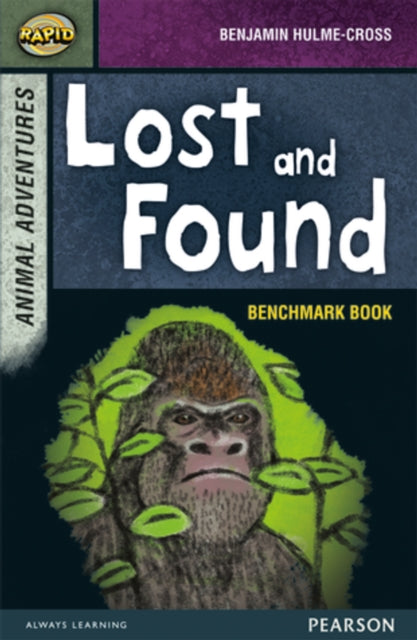 Book cover of: Rapid Stage 7 Assessment book: Lost and Found. By: Dee Reid