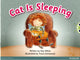 Book cover of: Bug Club Pink A Cat is Sleeping 6-pack. By: Dee White