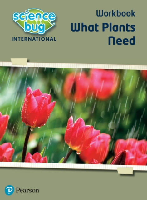 Book cover of: Science Bug: What plants need Workbook. By: Deborah Herridge
